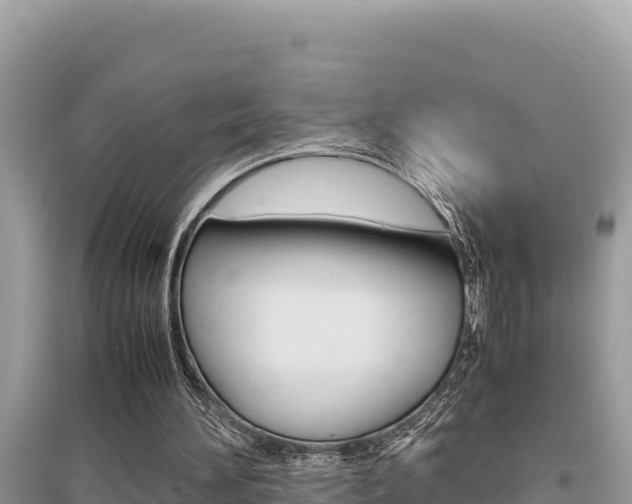 X0000095120196200712070951
