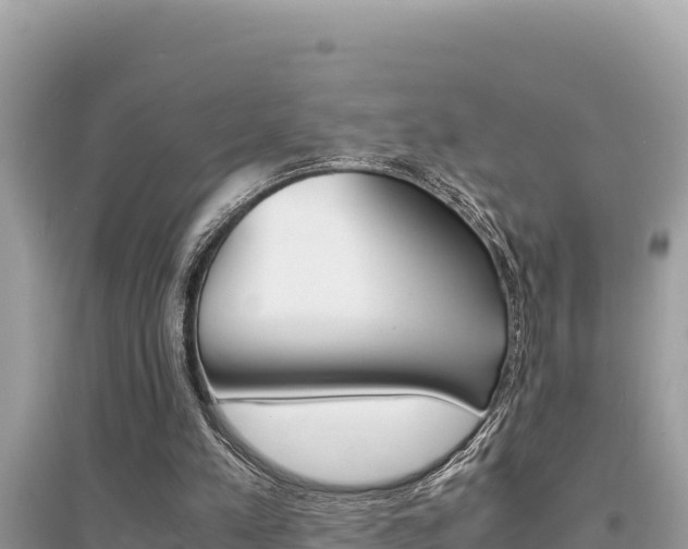 X0000095120197200712070951
