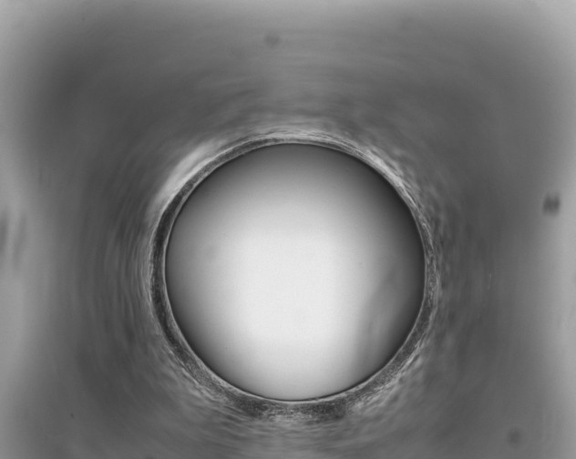 X0000095120199200712070951