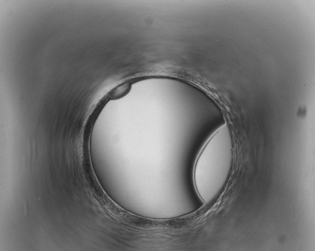X0000095120200200712070951
