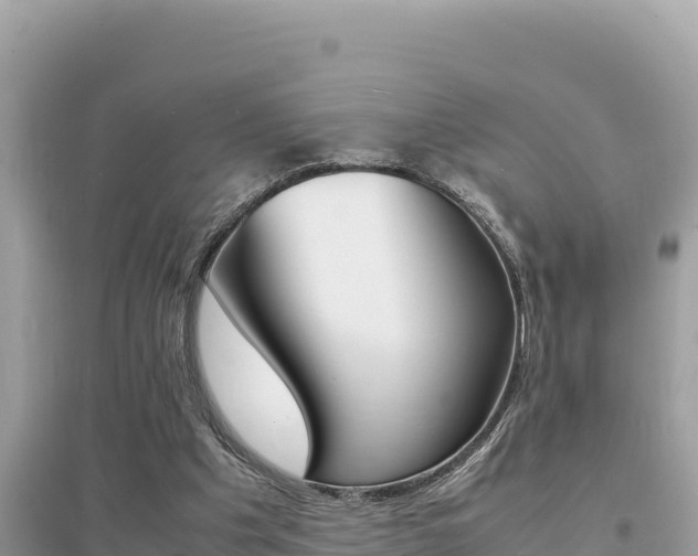 X0000095120201200712070951