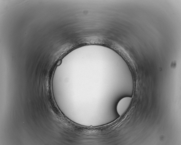 X0000095120202200712070951