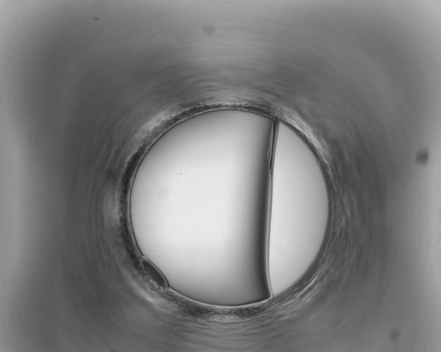 X0000095120203200712070951