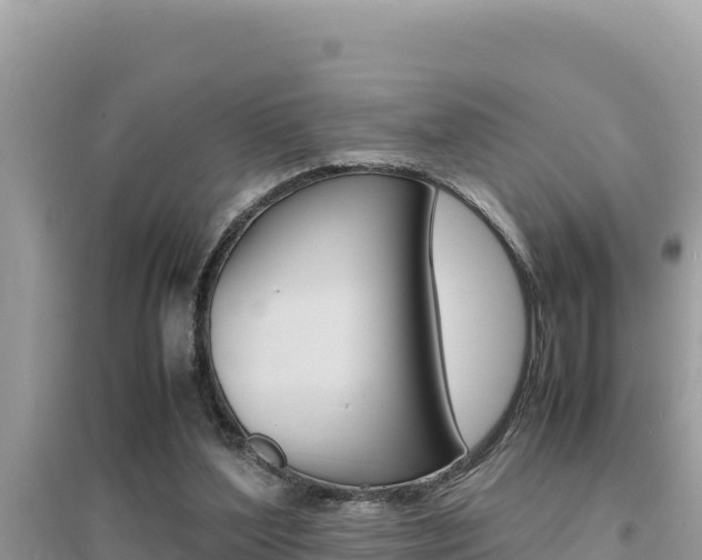 X0000095120204200712070951