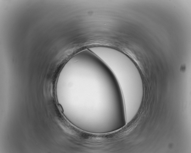 X0000095120205200712070951