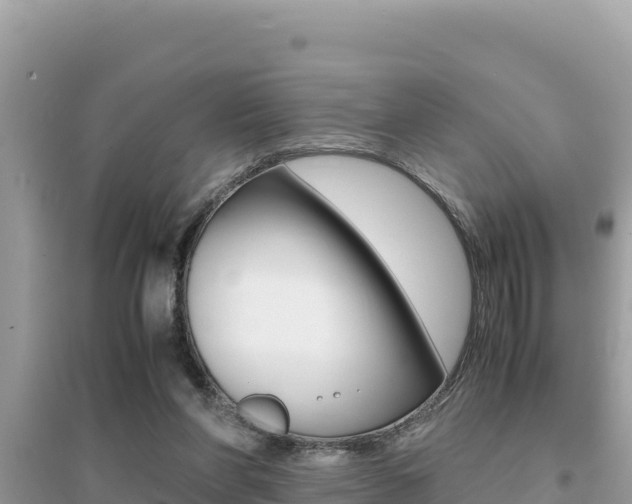 X0000095120206200712070951