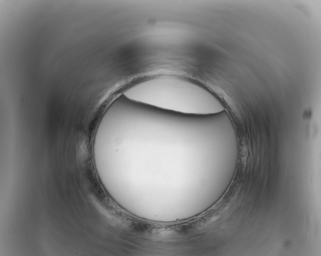 X0000095120208200712070951