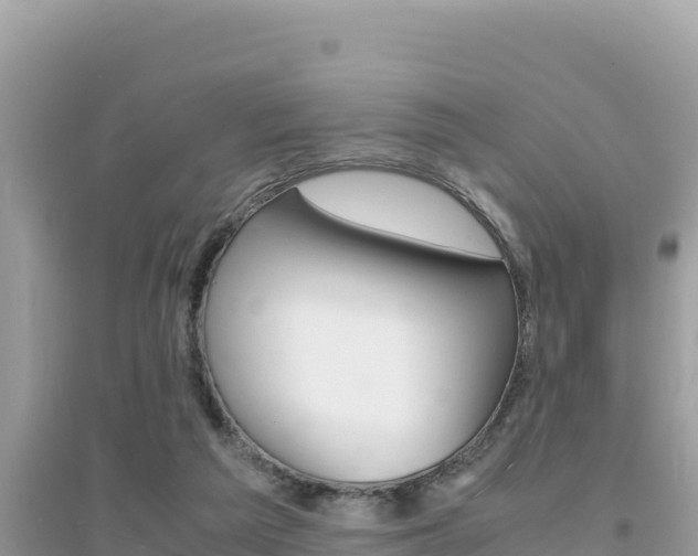 X0000095120209200712070951