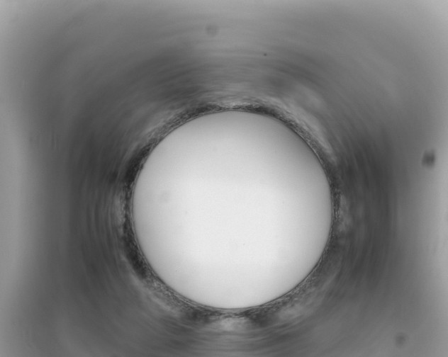 X0000095120210200712070951