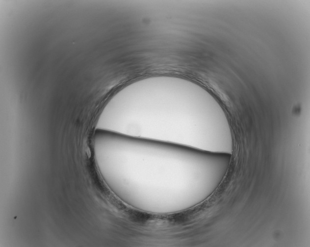 X0000095120211200712070951