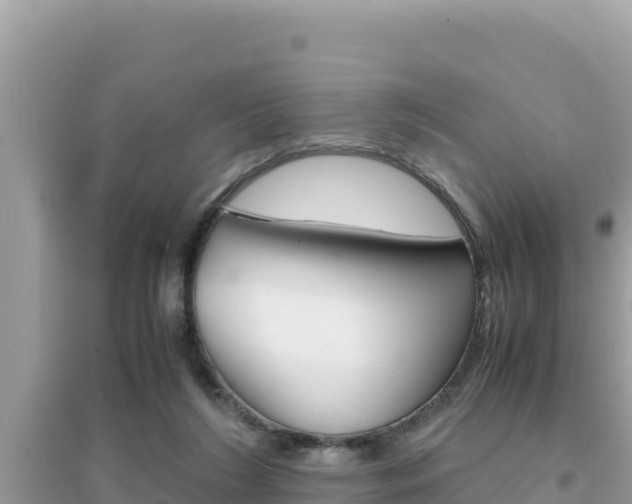 X0000095120212200712070951