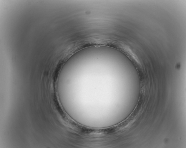 X0000095120213200712070951