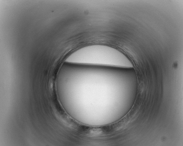 X0000095120214200712070951