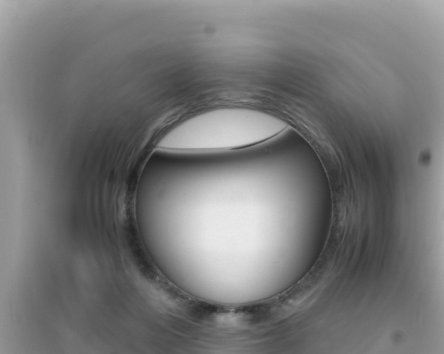 X0000095120216200712070951