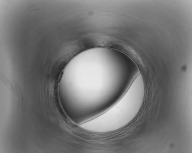 X0000095120217200712070951