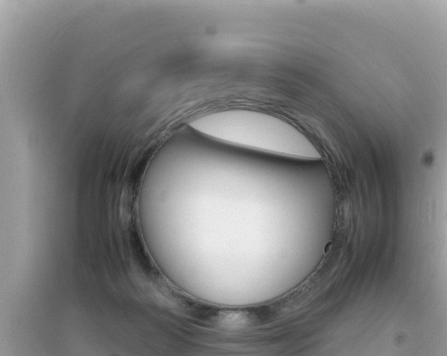 X0000095120218200712070951