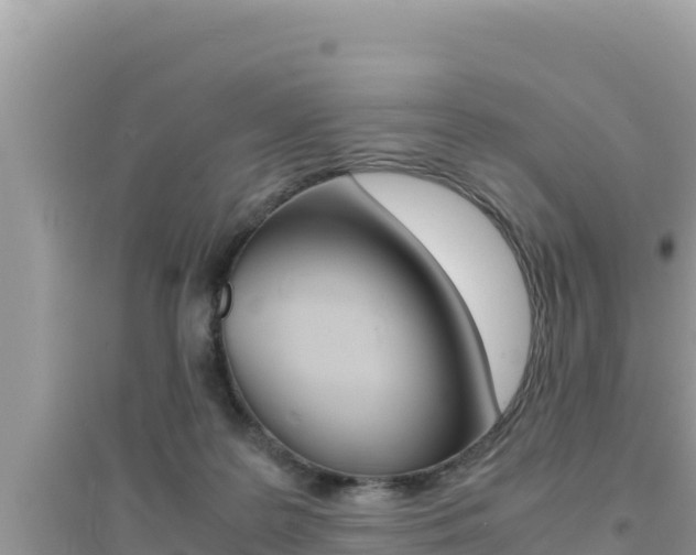 X0000095120219200712070951