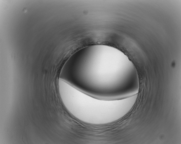X0000095120221200712070951
