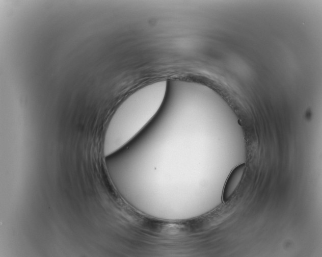 X0000095120222200712070951