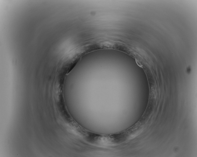 X0000095120223200712070951