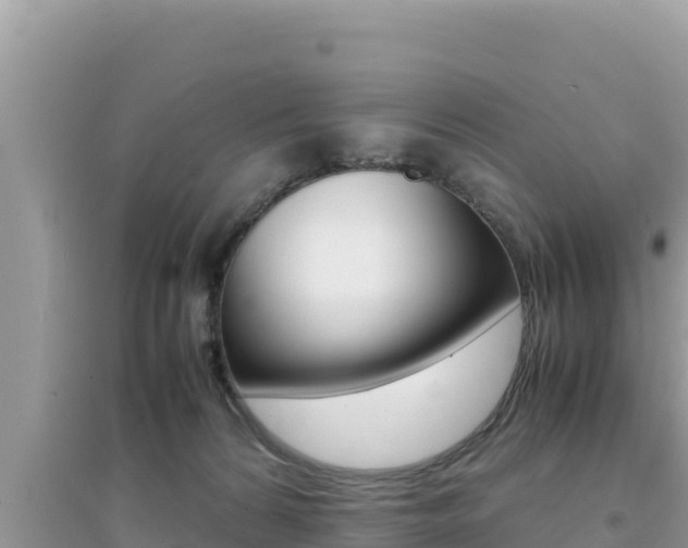 X0000095120224200712070951