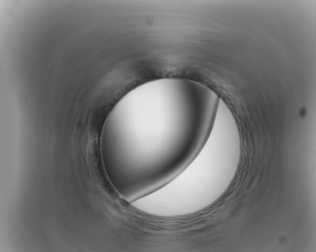X0000095120225200712070951