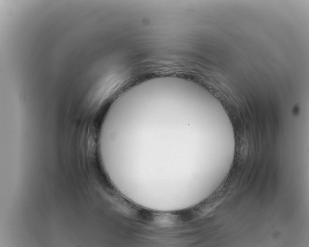 X0000095120226200712070951