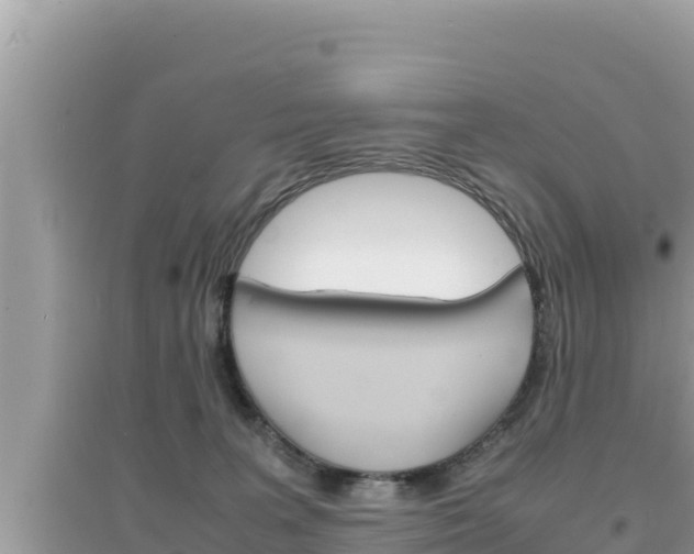 X0000095120227200712070951