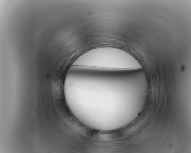 X0000095120228200712070951
