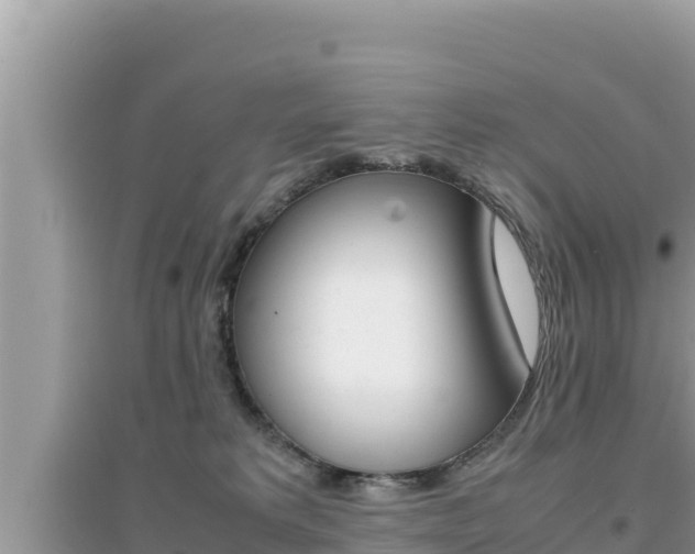 X0000095120229200712070951