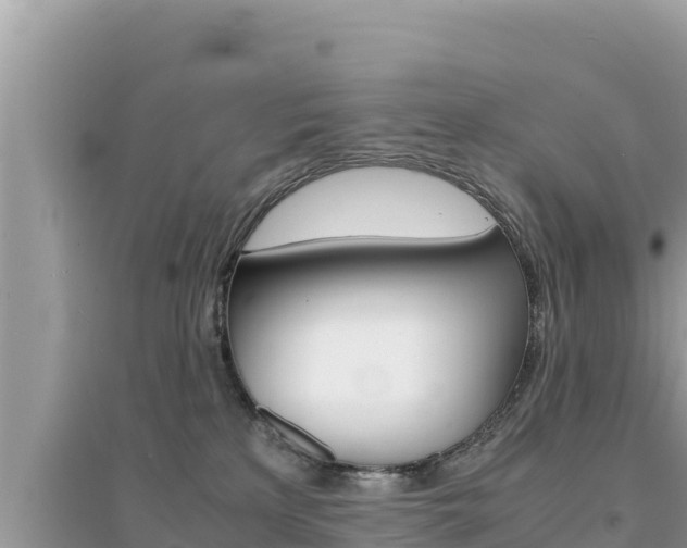 X0000095120233200712070951