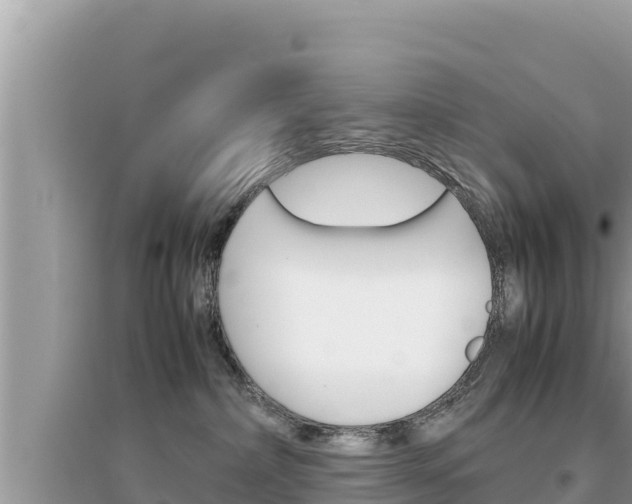 X0000095120236200712070951