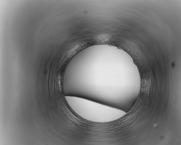 X0000095120238200712070951