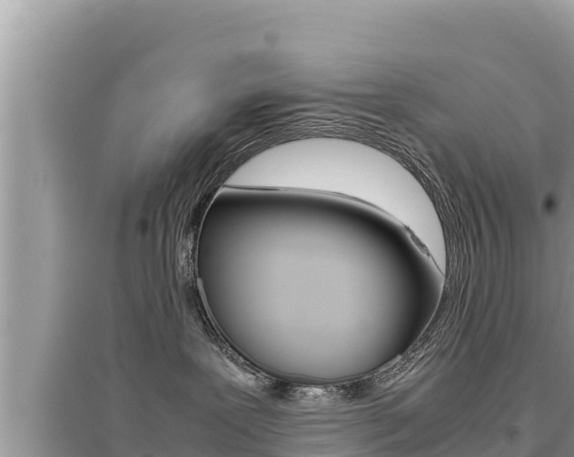 X0000095120239200712070950