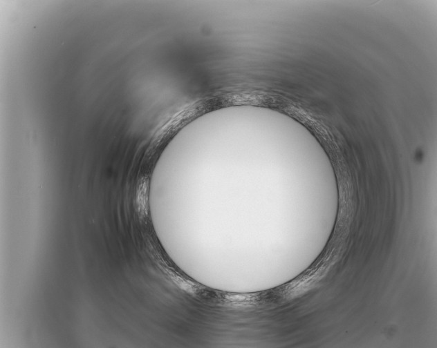 X0000095120240200712070950