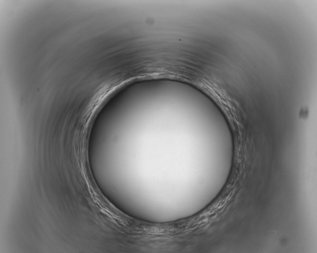 X0000095120241200712070950