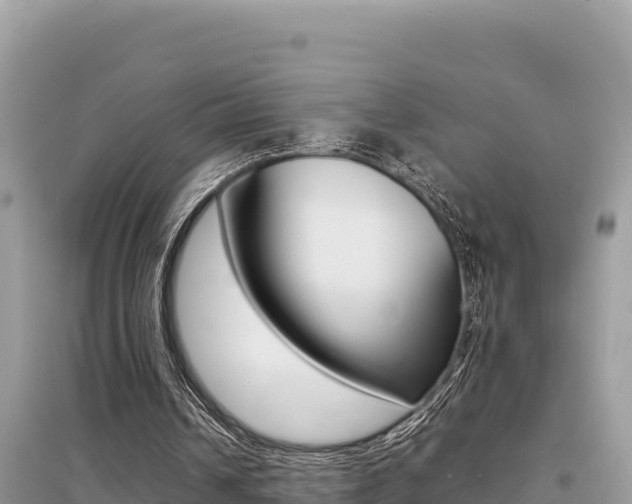 X0000095120242200712070950