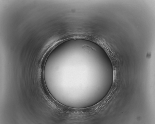 X0000095120243200712070950