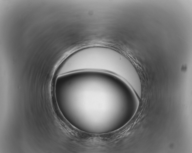 X0000095120244200712070950