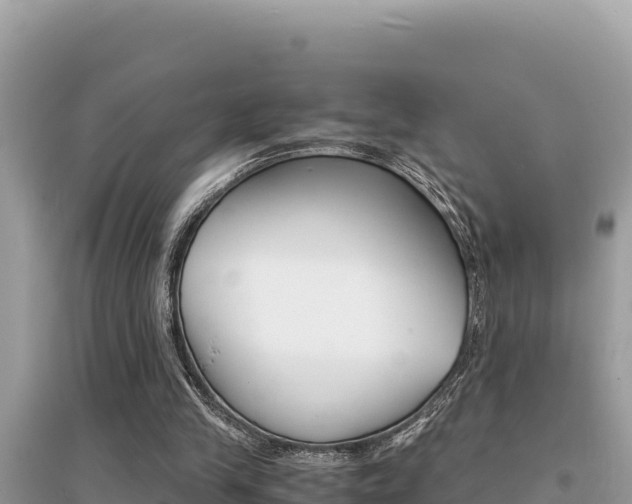X0000095120245200712070950