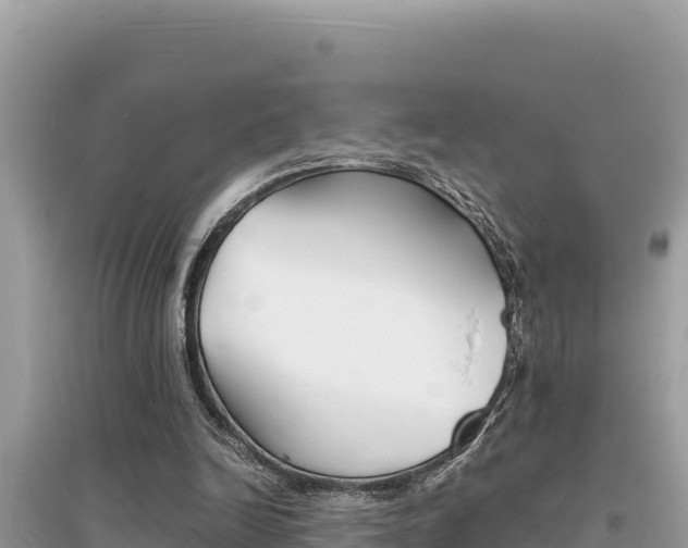 X0000095120246200712070950