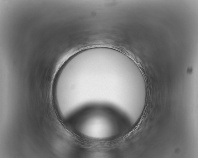X0000095120248200712070950