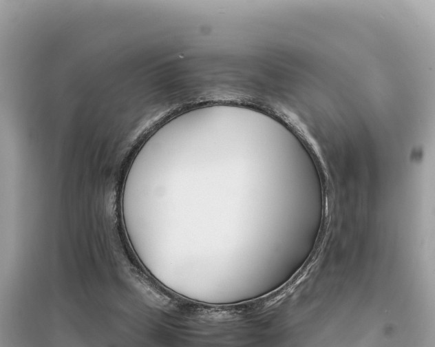X0000095120249200712070950