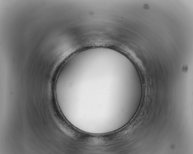 X0000095120250200712070950