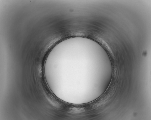X0000095120251200712070950