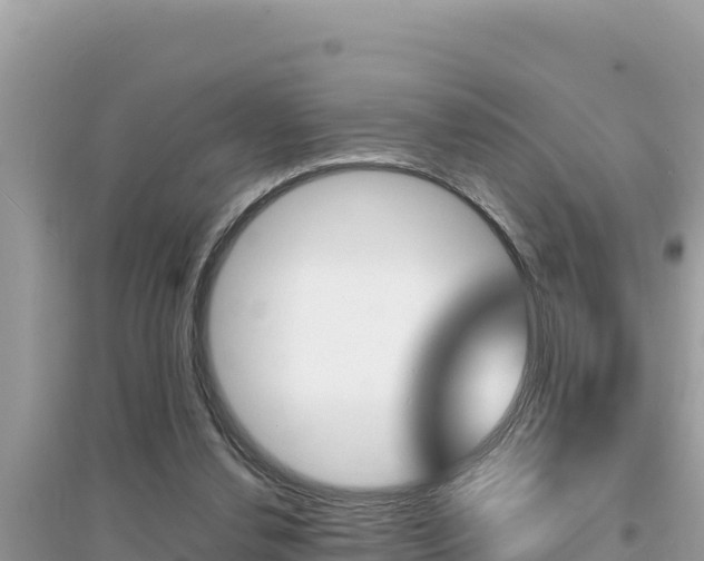 X0000095120252200712070950