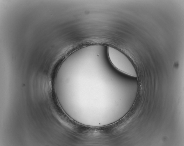 X0000095120254200712070950