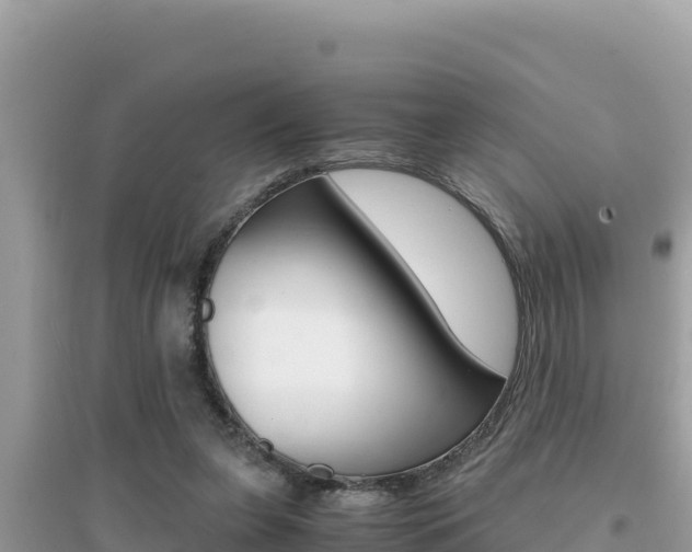 X0000095120255200712070950