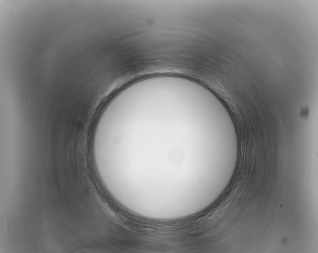 X0000095120256200712070950