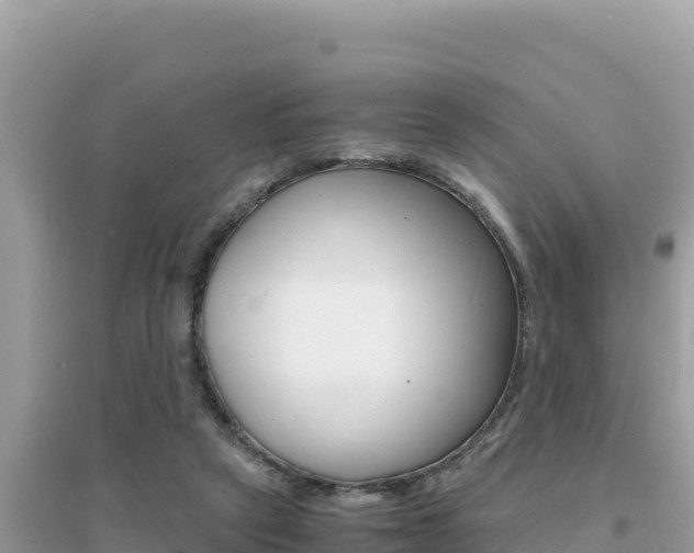 X0000095120257200712070950